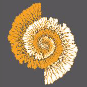 Image Alt Text